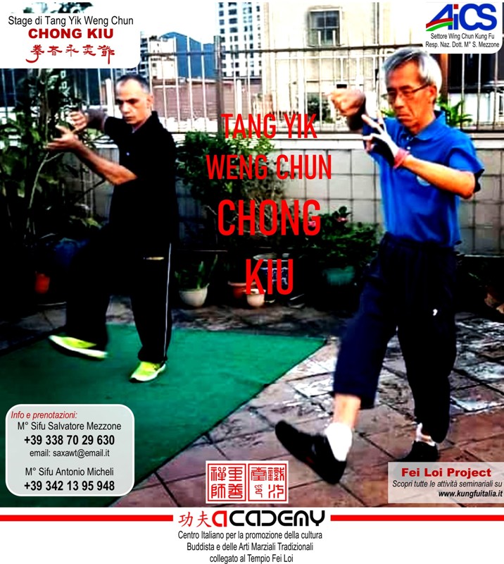 Tang Yik WENG CHUN  by GM Michael Tang  Fei Loi Project Kung Fu seminars Arti marziali cinesi Cina Italia wing chun Ip Man, weng chun Tang Yik, Chi Kung